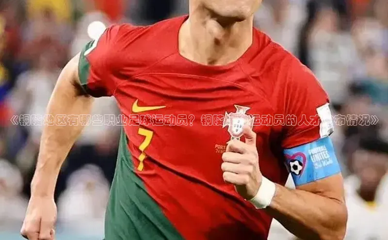 极悦注册顺丰《铜陵地区有哪些职业足球运动员？铜陵足球运动员的人才分布情况》