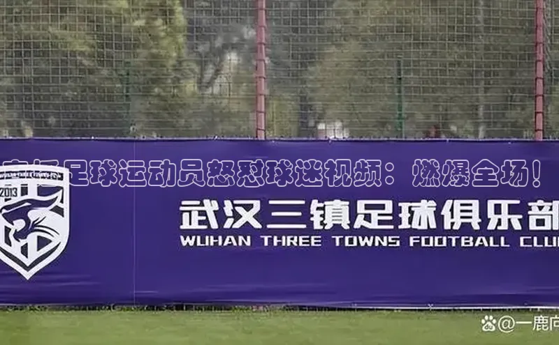 极悦娱乐官网地址京东直播足球运动员怒怼球迷视频：燃爆全场！