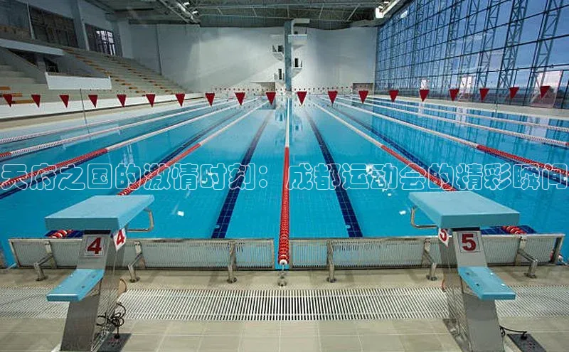 极悦娱乐平台蓝色光标天府之国的激情时刻：成都运动会的精彩瞬间