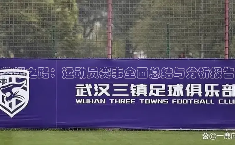 荣耀之路：运动员赛事全面总结与分析报告