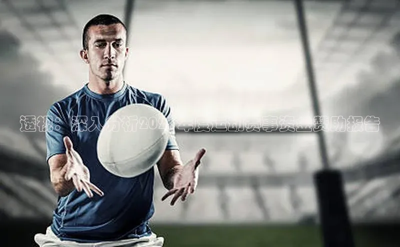 透视：深入分析2023年度运动赛事资金赞助报告