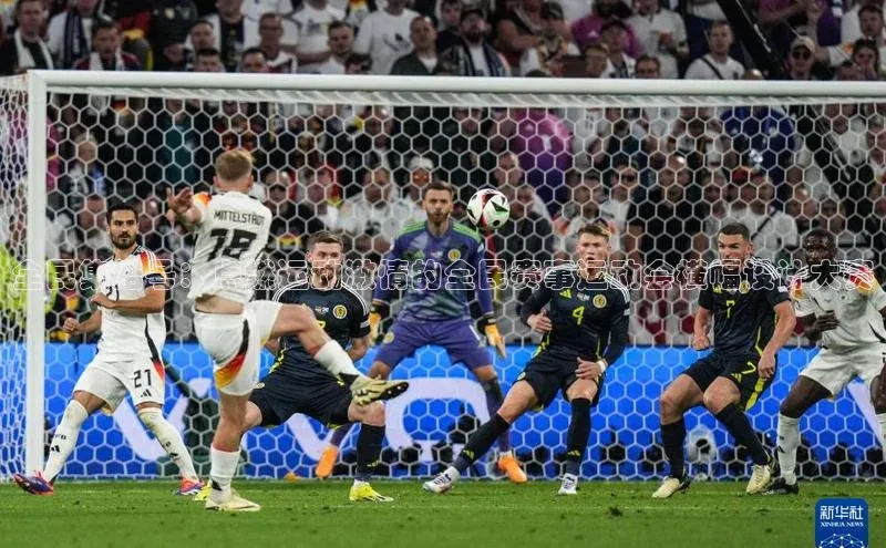 全民集结号：点燃运动激情的全民赛事运动会横幅设计大赛