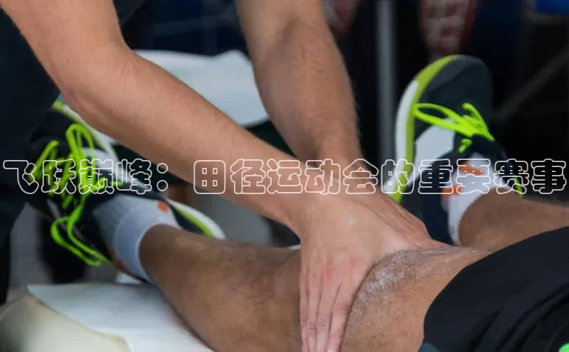 飞跃巅峰：田径运动会的重要赛事