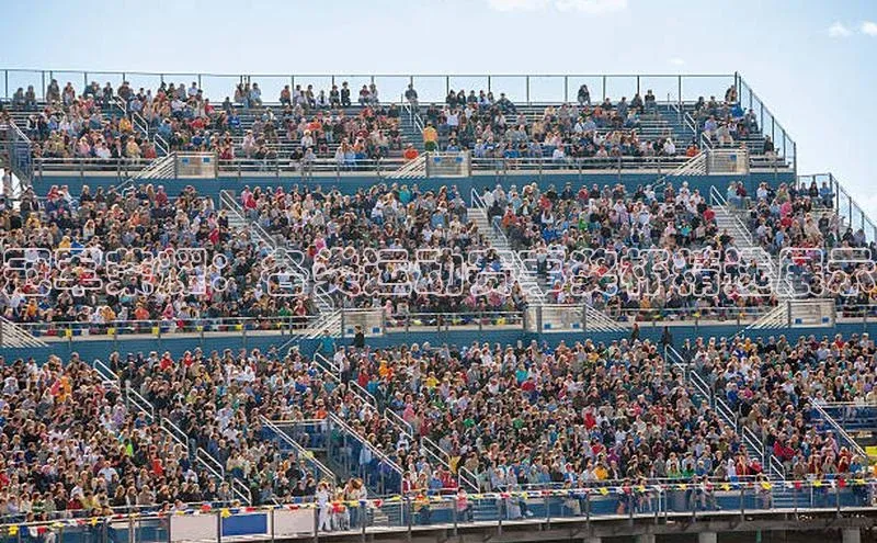 冠军荣耀：各类运动赛事奖杯精选展示