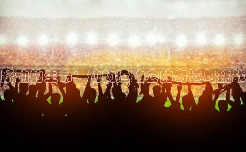 跃动的生命：动物运动会的奇迹与挑战
