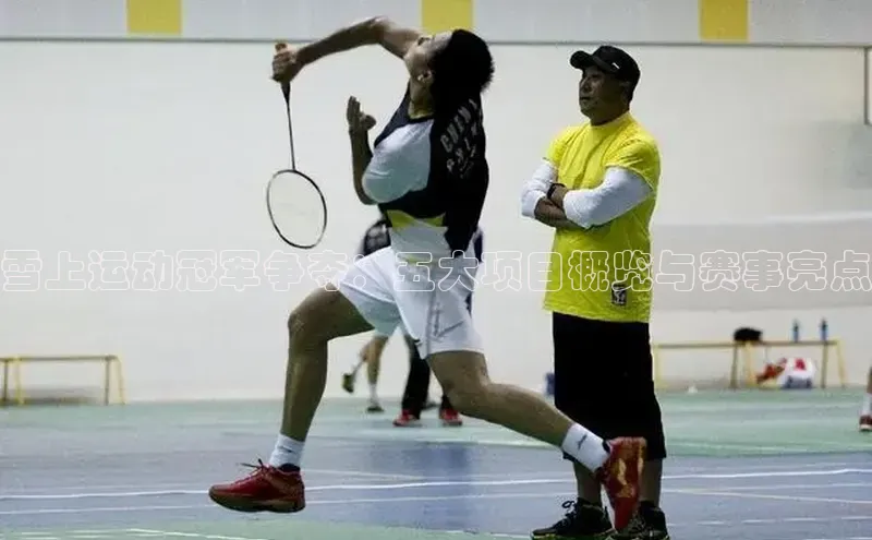 雪上运动冠军争夺：五大项目概览与赛事亮点