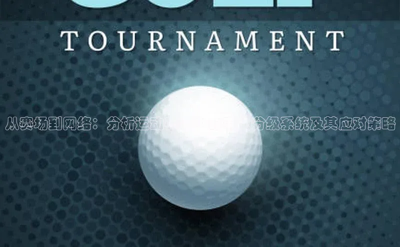 从赛场到网络：分析运动赛事中的事故分级系统及其应对策略