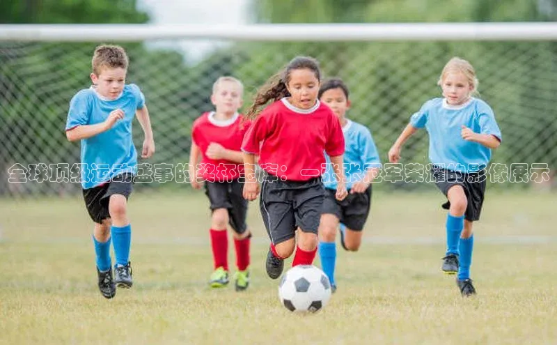 全球顶级运动盛事的奖杯宝库：一张张冠军荣耀的影像展示