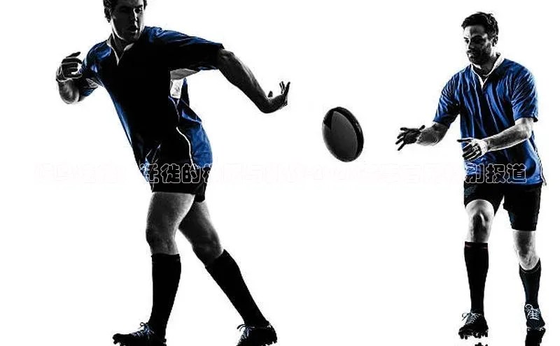 候鸟迁徙：迁徙的极限与挑战-2023赛事官网特别报道