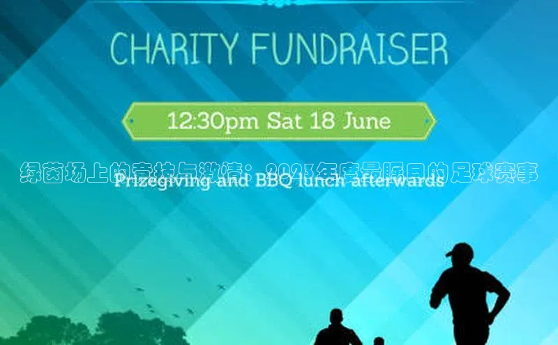 绿茵场上的竞技与激情：2023年度最瞩目的足球赛事