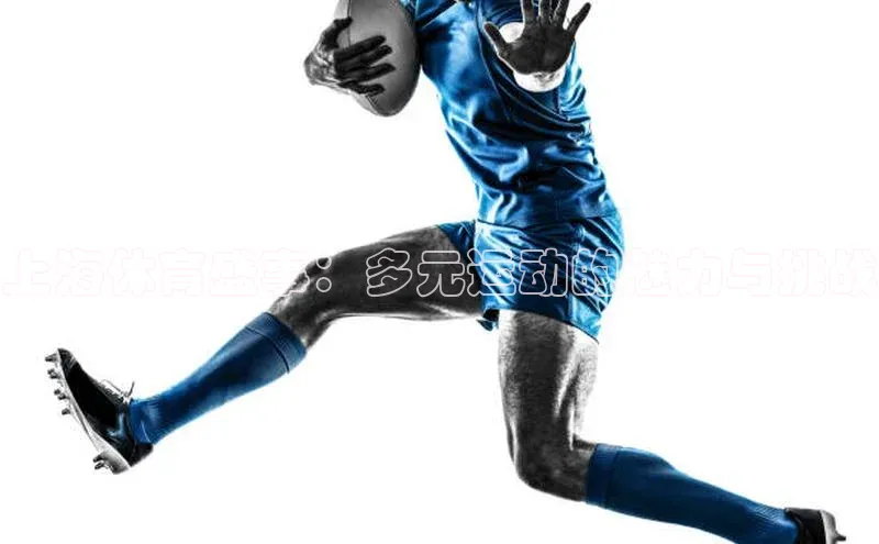 上海体育盛事：多元运动的魅力与挑战